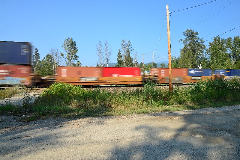 DSC_8503.JPG