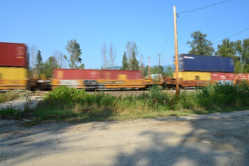 DSC_8505.JPG