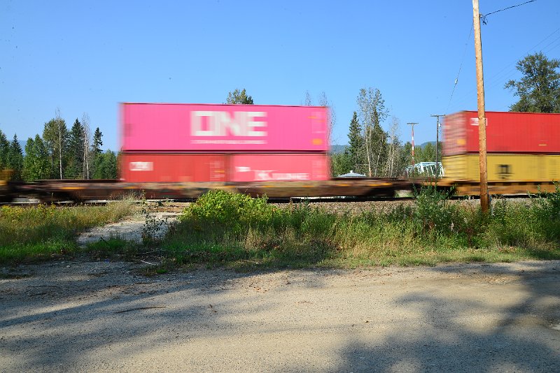 DSC_8516.JPG