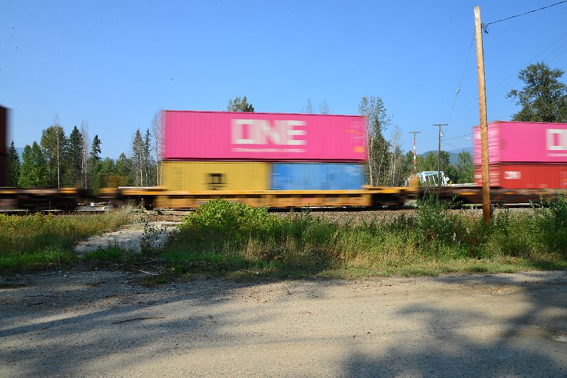 DSC_8517.JPG