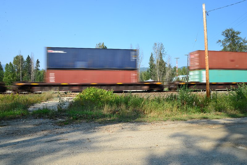DSC_8520.JPG
