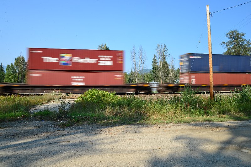 DSC_8521.JPG