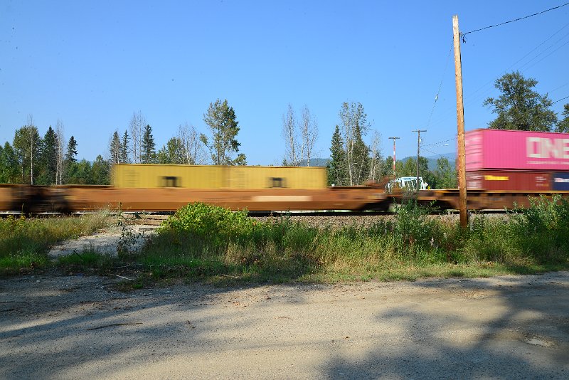 DSC_8525.JPG