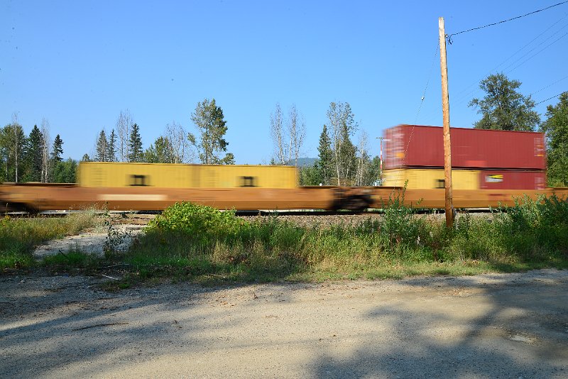 DSC_8527.JPG