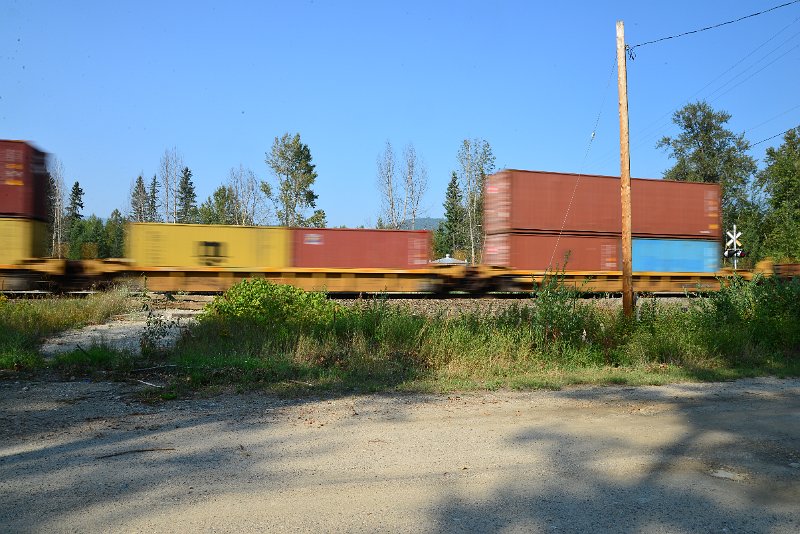 DSC_8529.JPG