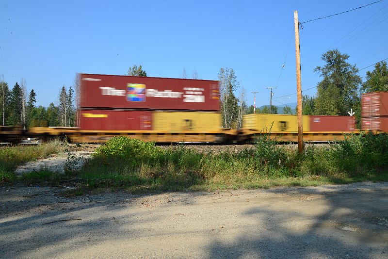 DSC_8530.JPG