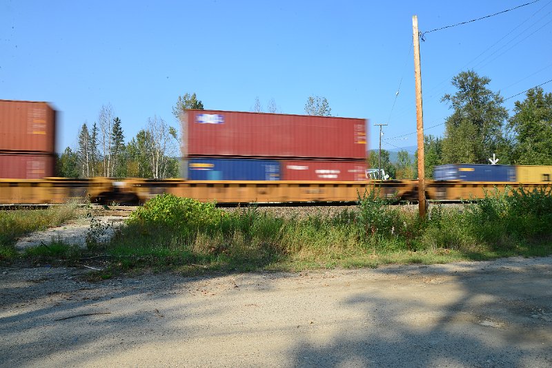 DSC_8533.JPG