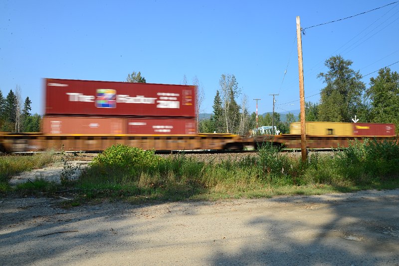 DSC_8538.JPG
