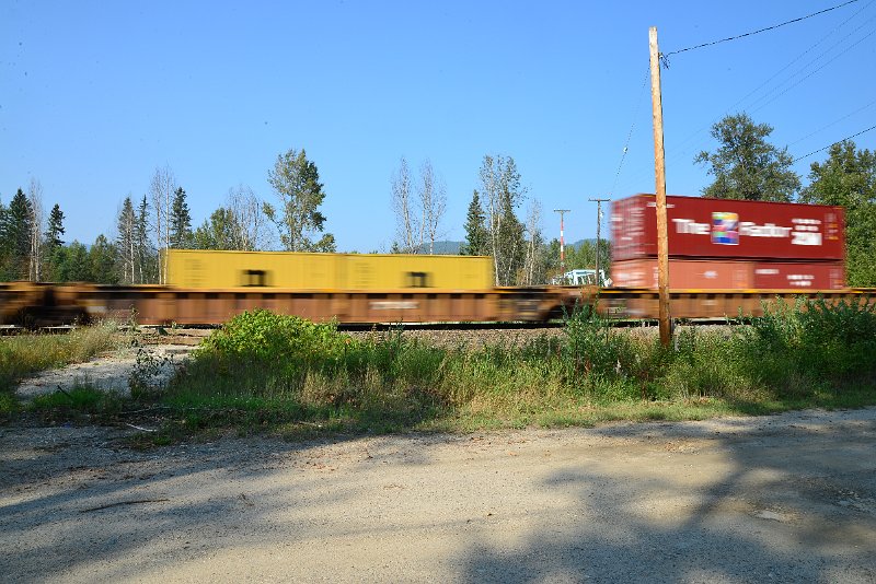 DSC_8539.JPG