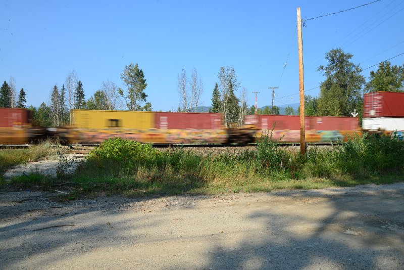 DSC_8544.JPG