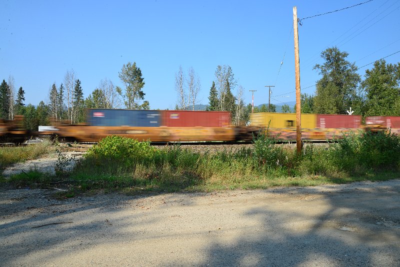 DSC_8545.JPG