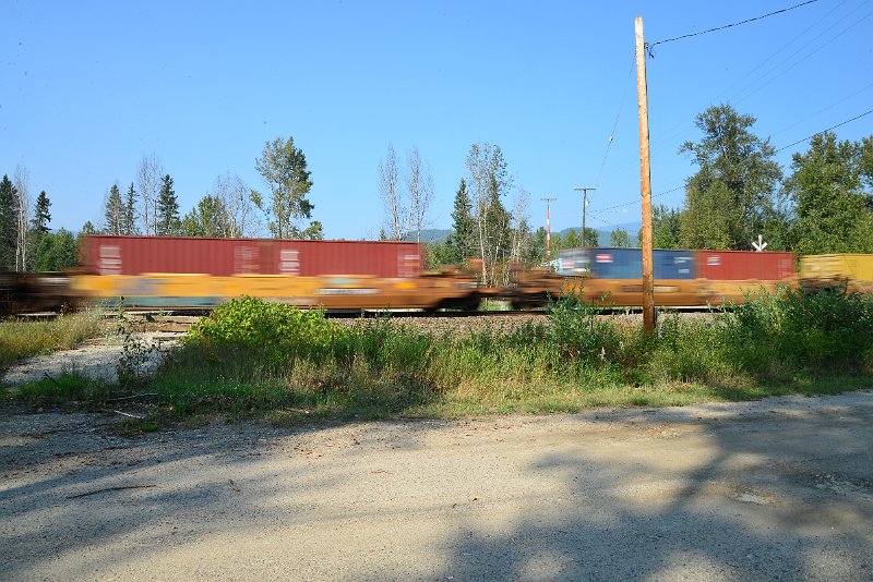 DSC_8546.JPG