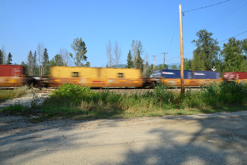 DSC_8548.JPG