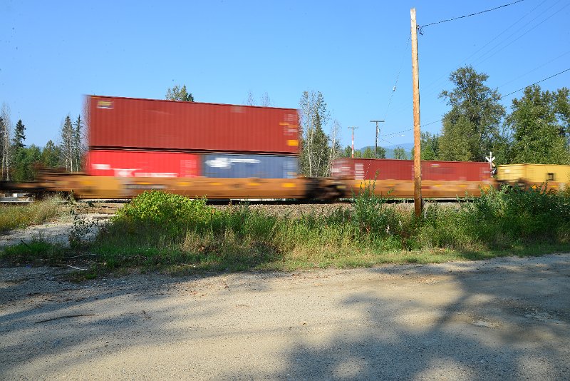 DSC_8550.JPG