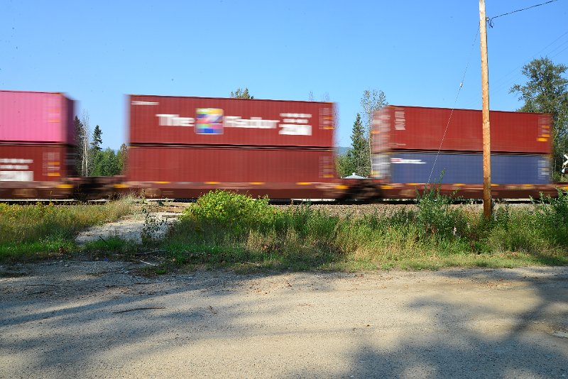 DSC_8556.JPG