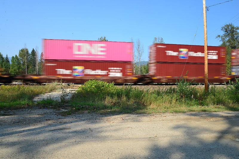 DSC_8557.JPG