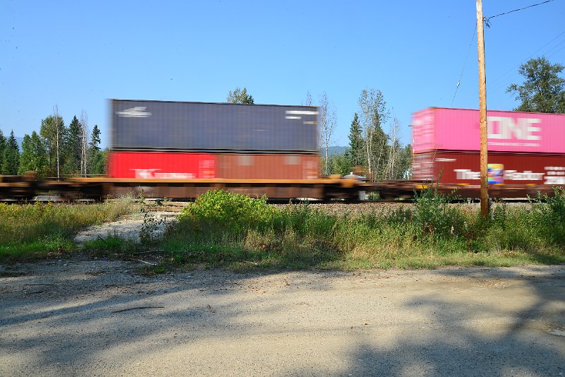 DSC_8558.JPG