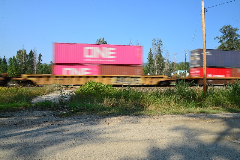 DSC_8559.JPG