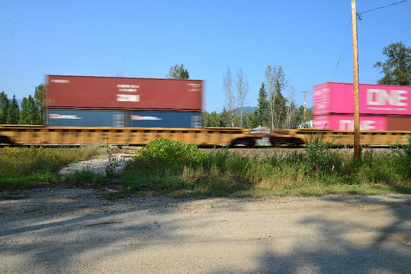DSC_8560.JPG