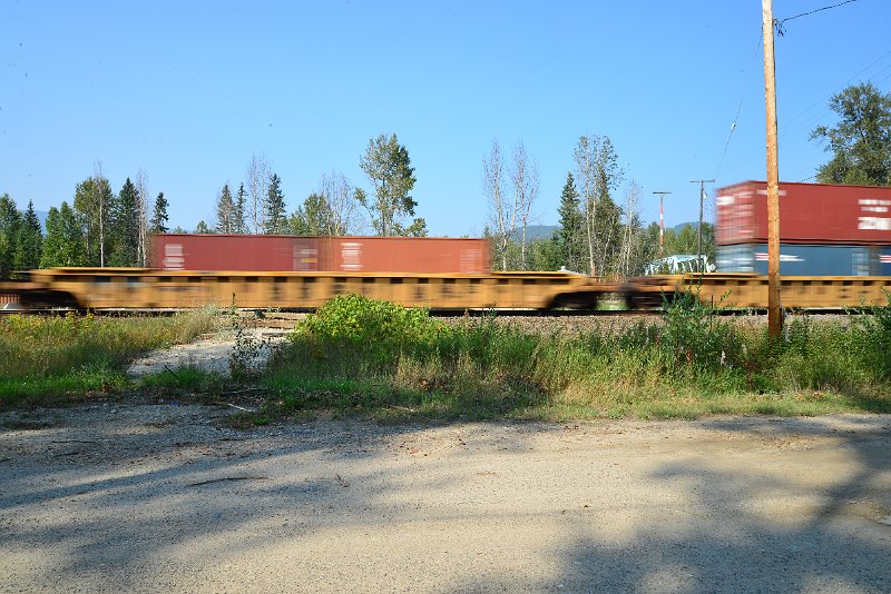 DSC_8561.JPG
