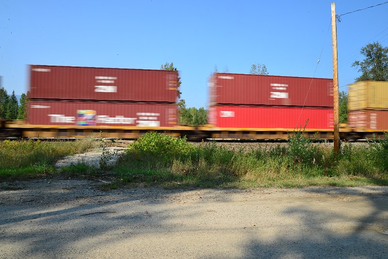 DSC_8565.JPG