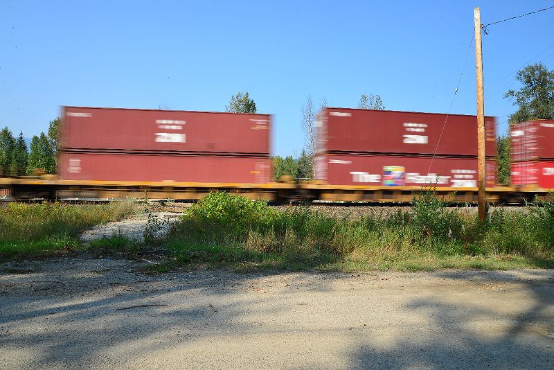 DSC_8566.JPG