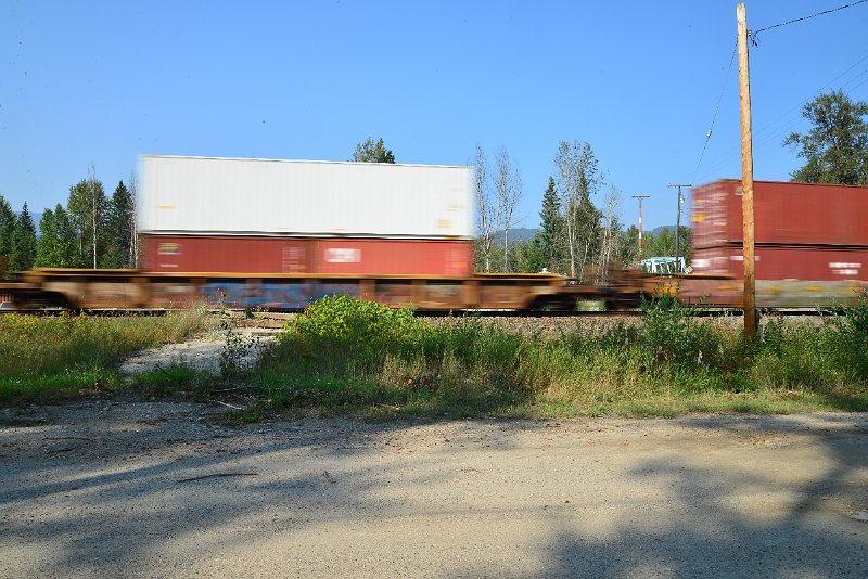 DSC_8568.JPG