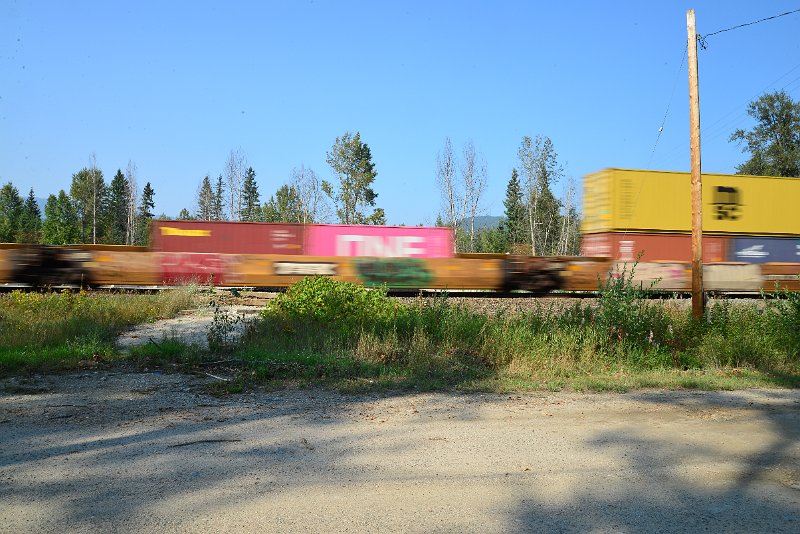 DSC_8571.JPG
