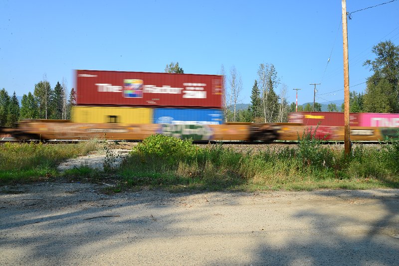 DSC_8572.JPG
