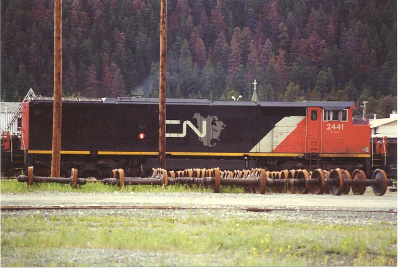 CN2441_2.jpg