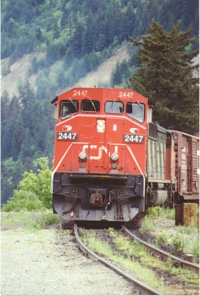 CN2447_2.jpg