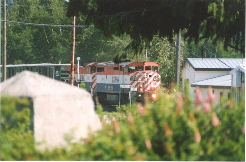 CN4611_1.jpg