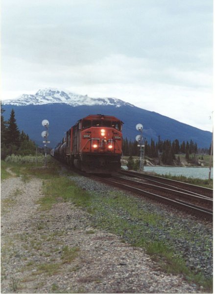 CN5554_1.jpg