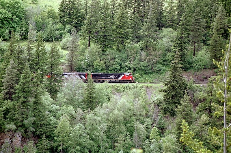 CN_005.jpg