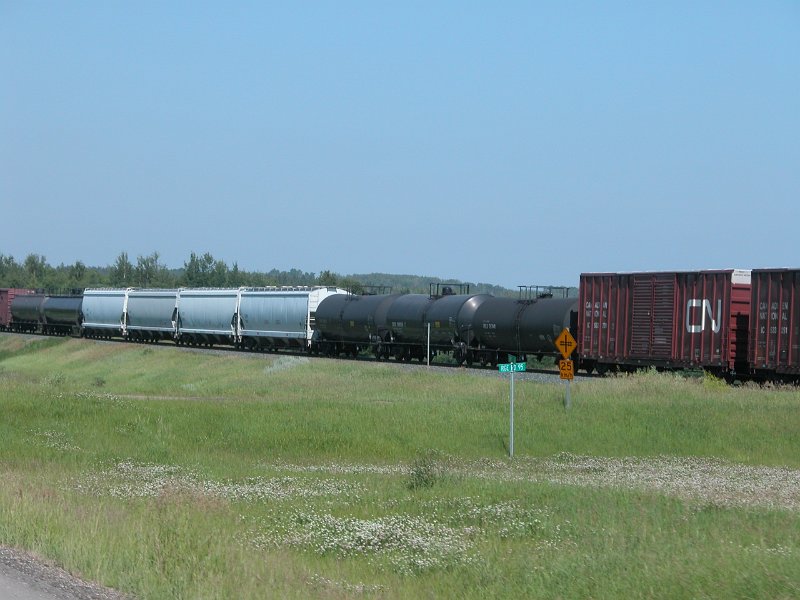 CN_010.jpg