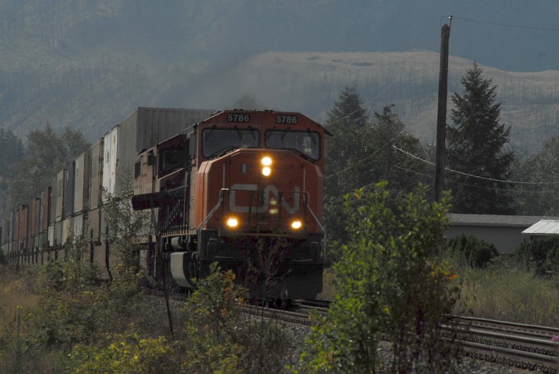 DSC_3448.JPG