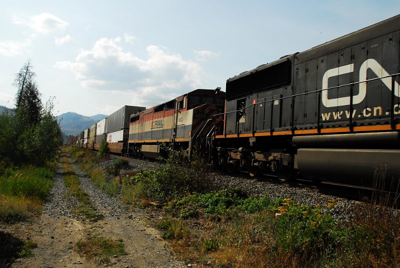 DSC_3451.JPG