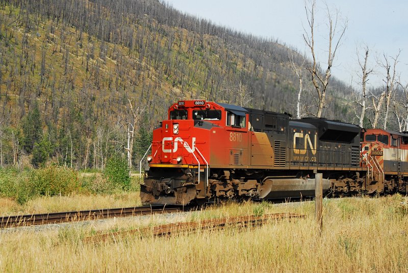 DSC_3462.JPG