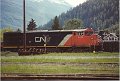 CN2441_1