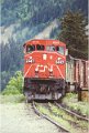 CN2447_2