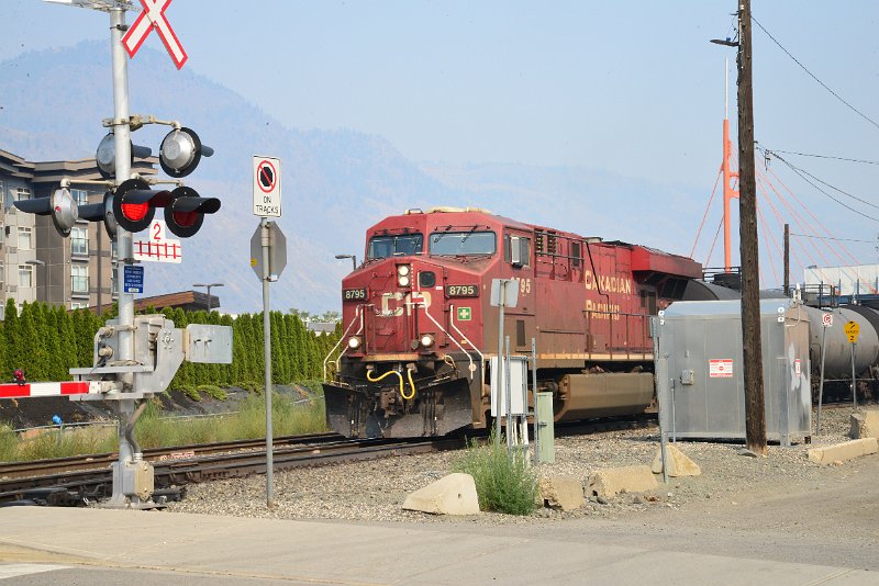 DSC_8649.JPG