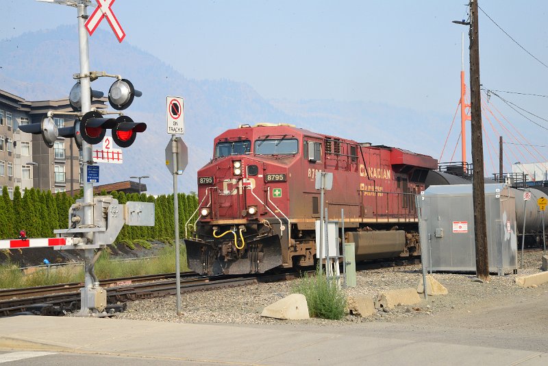 DSC_8650.JPG