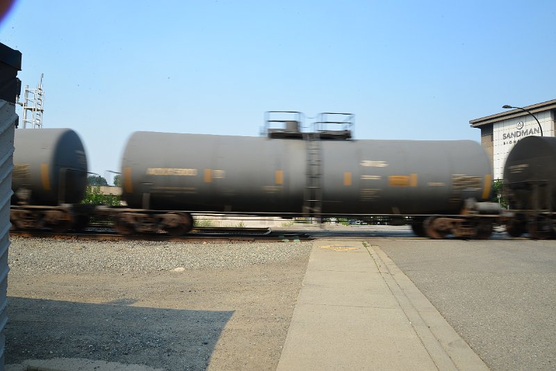 DSC_8665.JPG