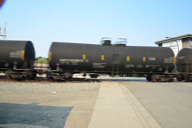 DSC_8667.JPG