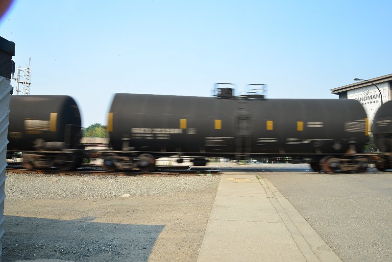 DSC_8673.JPG