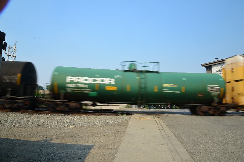 DSC_8686.JPG