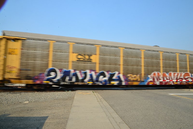 DSC_8687.JPG