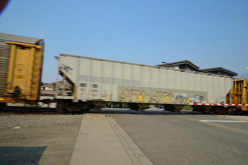 DSC_8688.JPG
