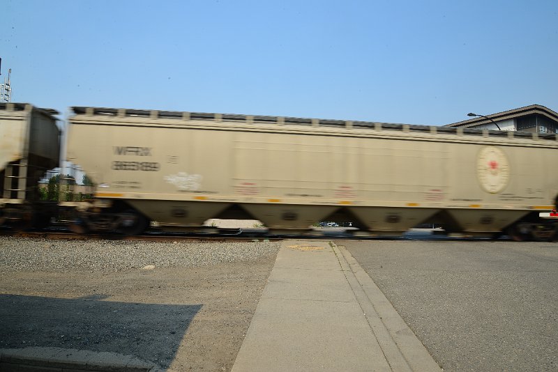 DSC_8694.JPG