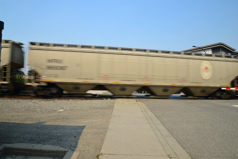 DSC_8695.JPG